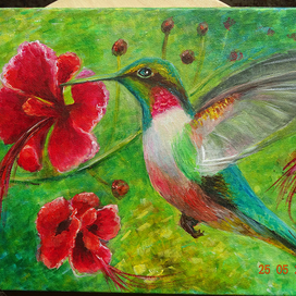 Колибри (Hummingbird)