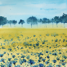 Поле с синими цветами