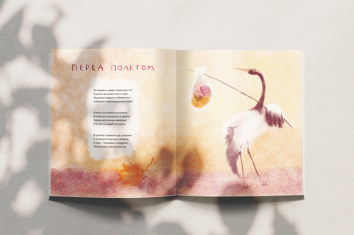 перед полётом