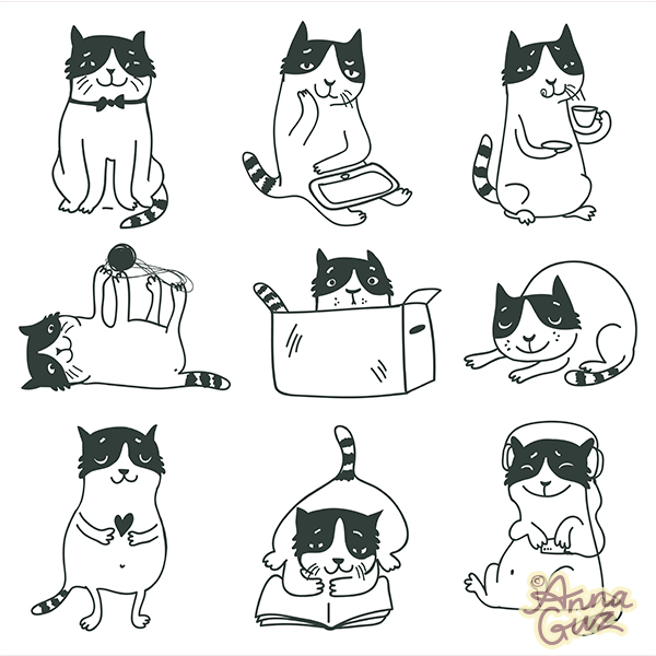 Коллекция котов