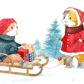 Морские свинки  зимой)