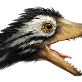 Археоптерикс