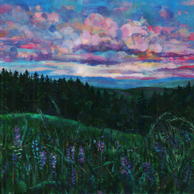 Сумерки и лес