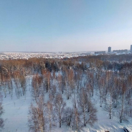 Ноксинский Лес Восток