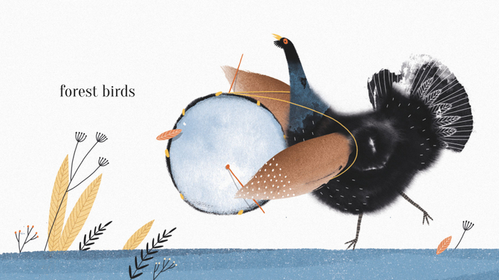 Глухарь и барабан