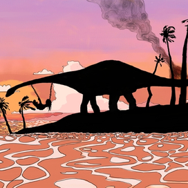 Жизнь на закате