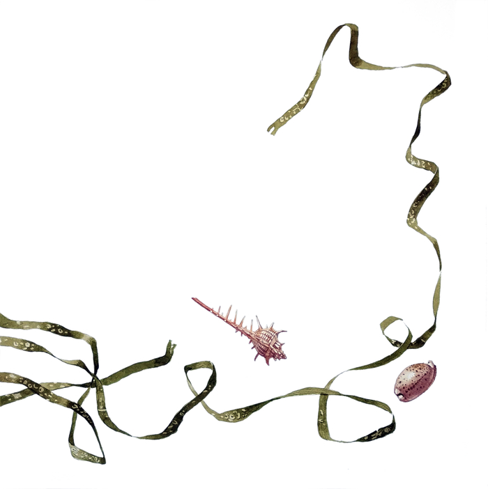 Дары моря. Графическая сага в девяти частях.