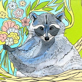 Крошка енот