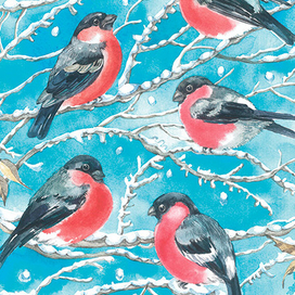 Снегири прилетели