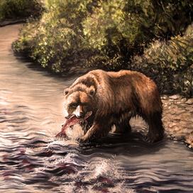 Рыба пошла...