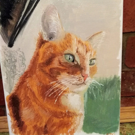 Портрет кота Мурыча