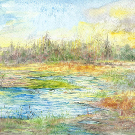 Затопленное поле