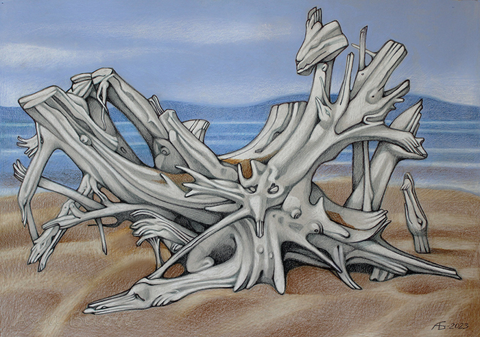 Ольхонская коряга - 2