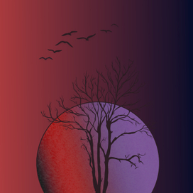 Мистическая ночь