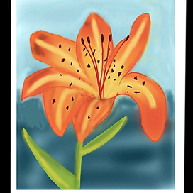 Лилия в тропиках