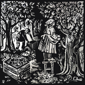 "Боровинка"