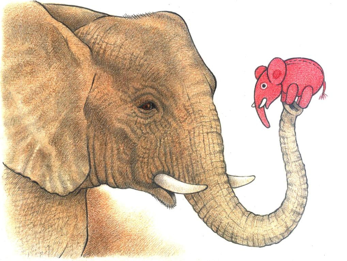 Подарок  для слона