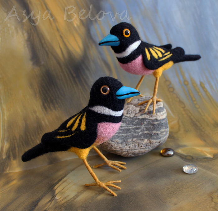 Синеносики