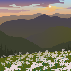 утреннее поле