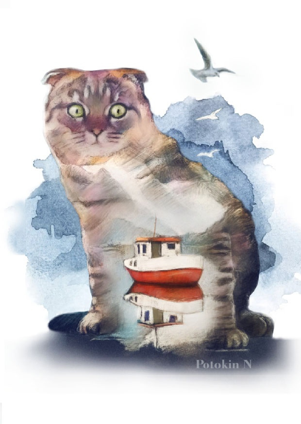 Морской котик 4