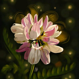 "Цветение клевера"