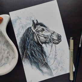 Жизнь одной лошади