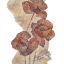 А.М. Ремизов. Посолонь