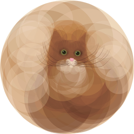 Круглый кот