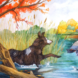 Охотничья собака