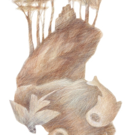 А.М. Ремизов. Посолонь