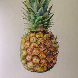 "Ананас" (акв. каранд.) в рамках марафона «Лето на палитре»