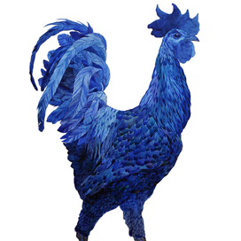 Синий петух