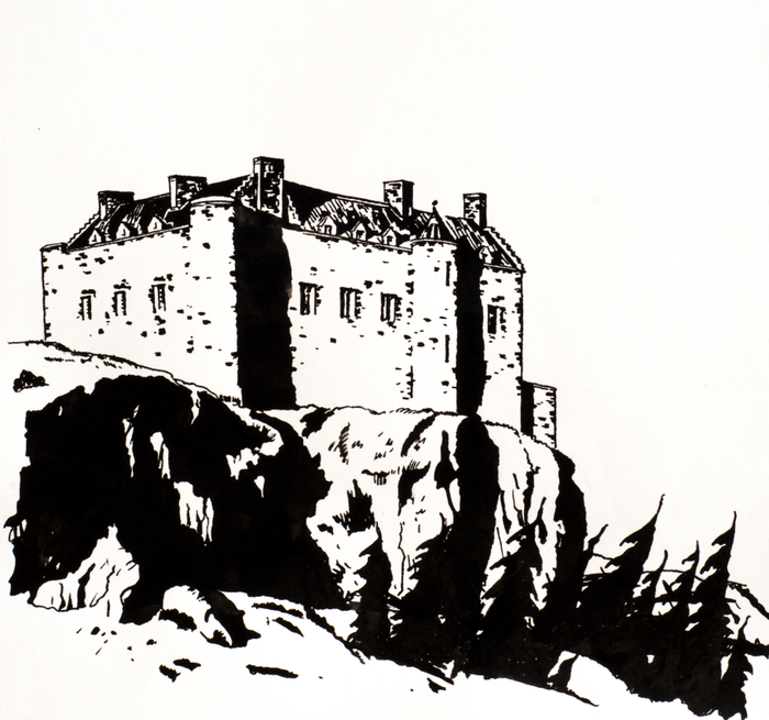 Северный цветок