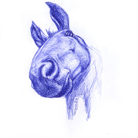 Любопытный