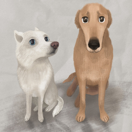 Портрет моих питомцев