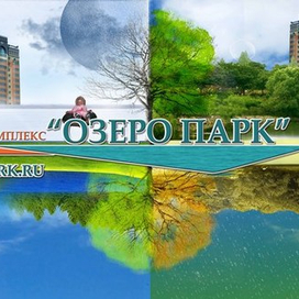 4 времени года Озеро Парк