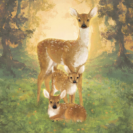 Книжная иллюстрация