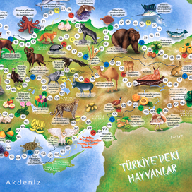 Игра. Карта Турции. Животные