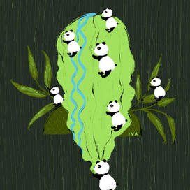 Недельный проект-Панды (№6)