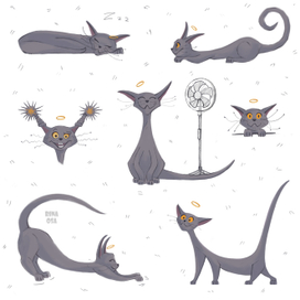 Curious cat, character concept