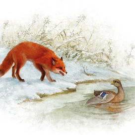 Серая Шейка и Лиса