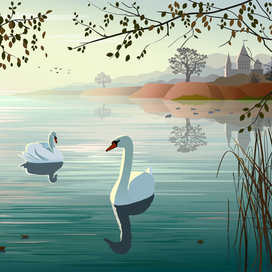 Лебединое озеро