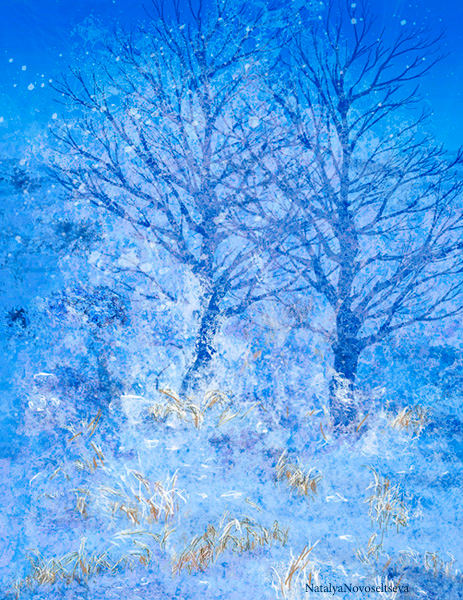 ЗИМУШКА ПРИШЛА