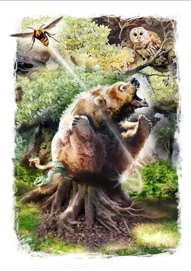 иллюстрация к сказке