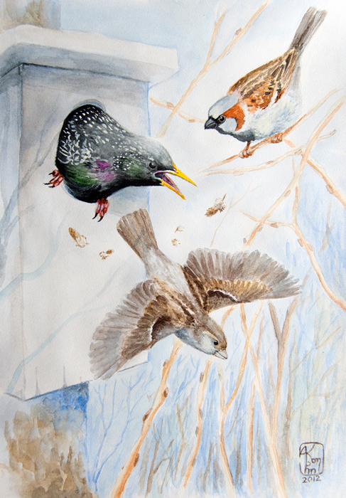 Пшел отсюда!