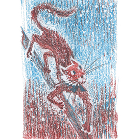 Кот-канатоходец