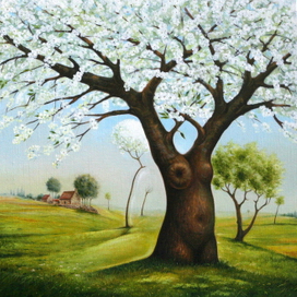 Цветущая Груша