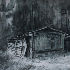 Дома в Карелии