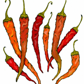 chily peppers