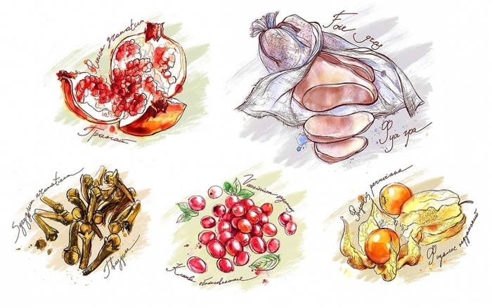 Серия иллюстраций для журнала Taste